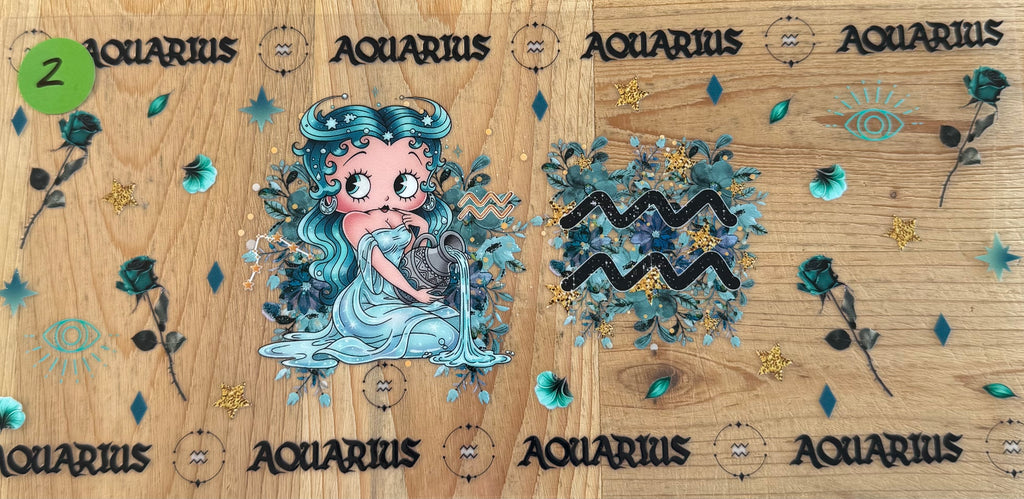 ASTROLOGY 16OZ