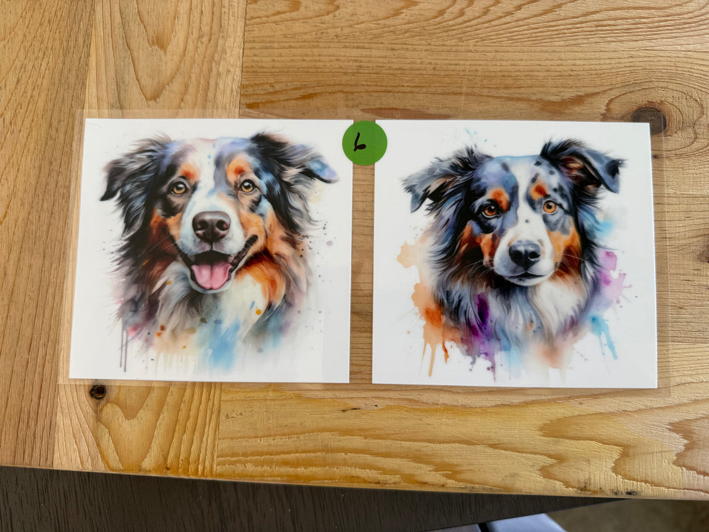 Dogs 16 oz