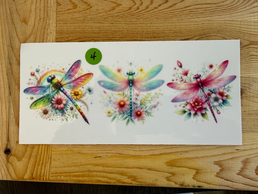 DRAGONFLY 16OZ