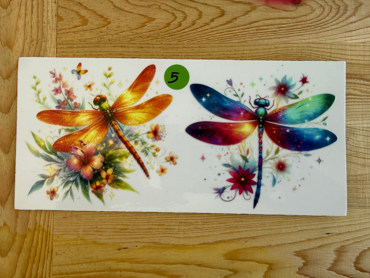 DRAGONFLY 16OZ