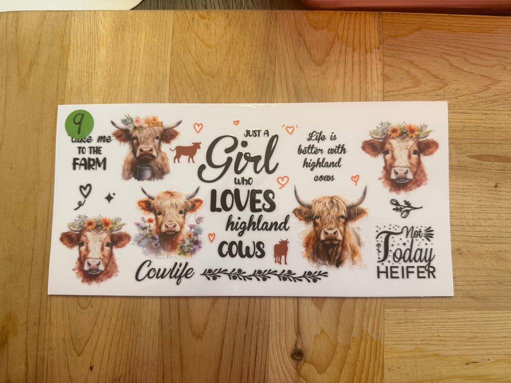 COWS 16OZ
