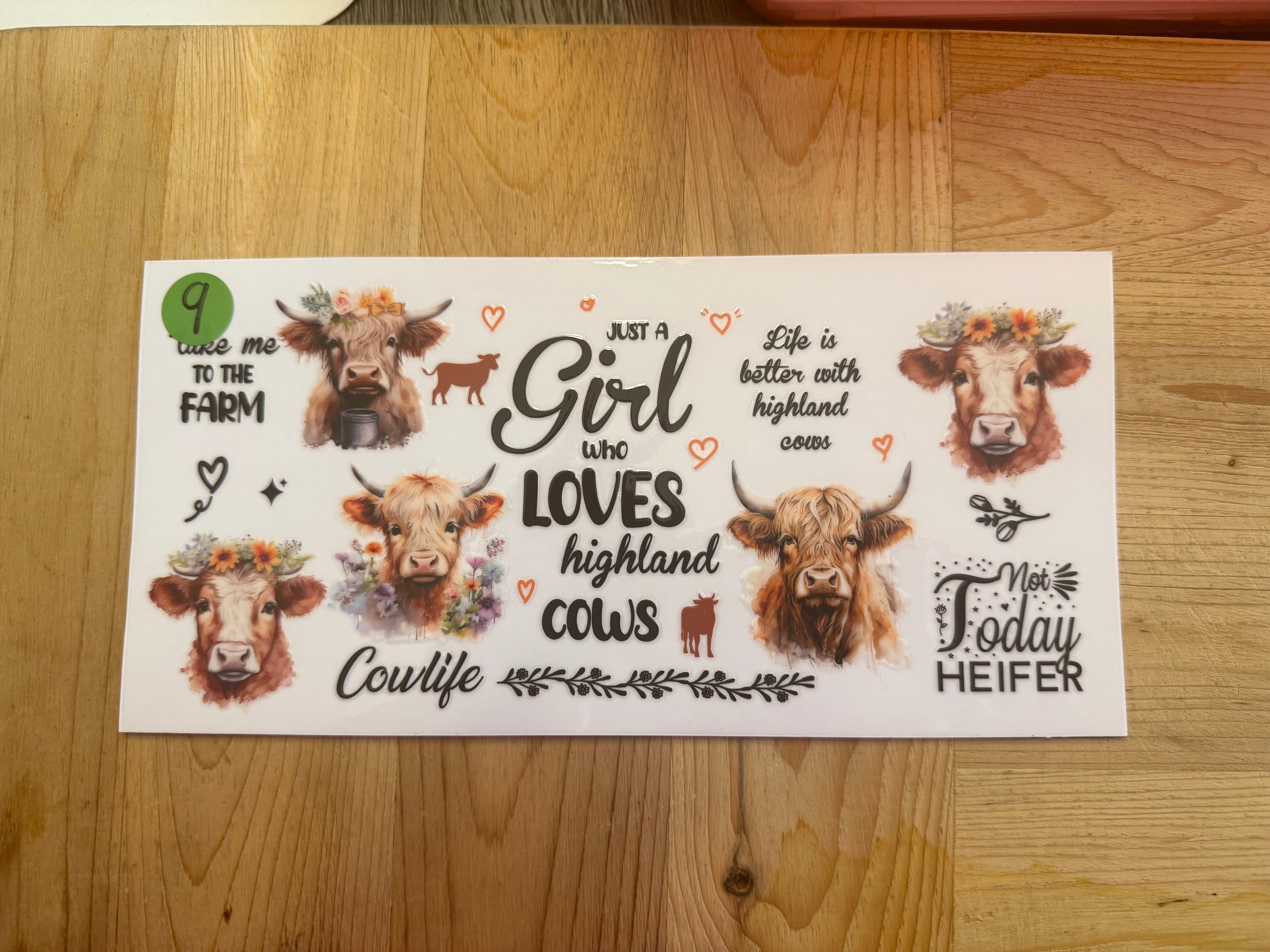 COWS 16OZ