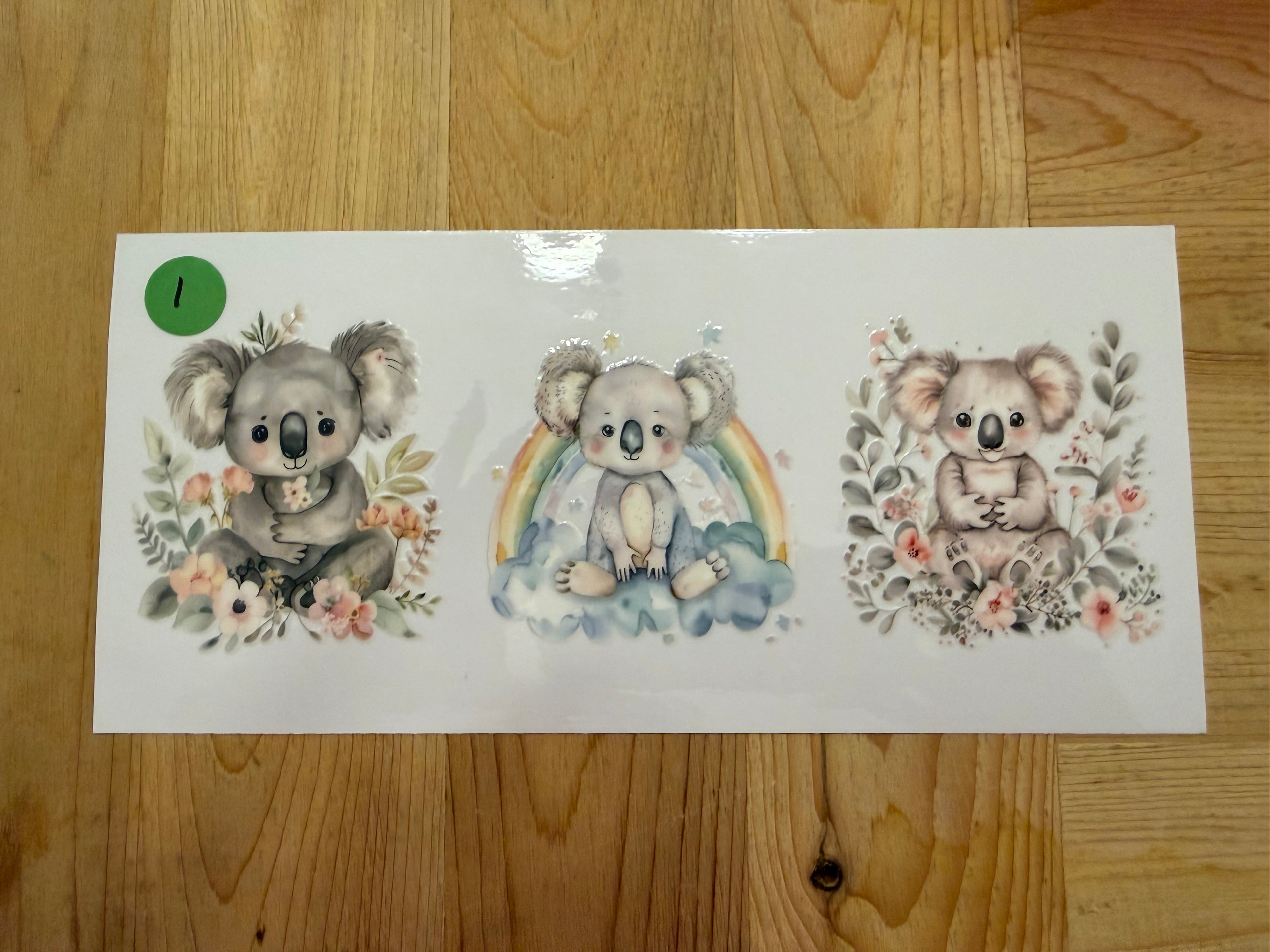KOALA 16OZ