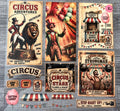 CIRCUS 2