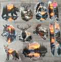 COUNTRY-ANIMALS--DEER/MOOSE/BEAR