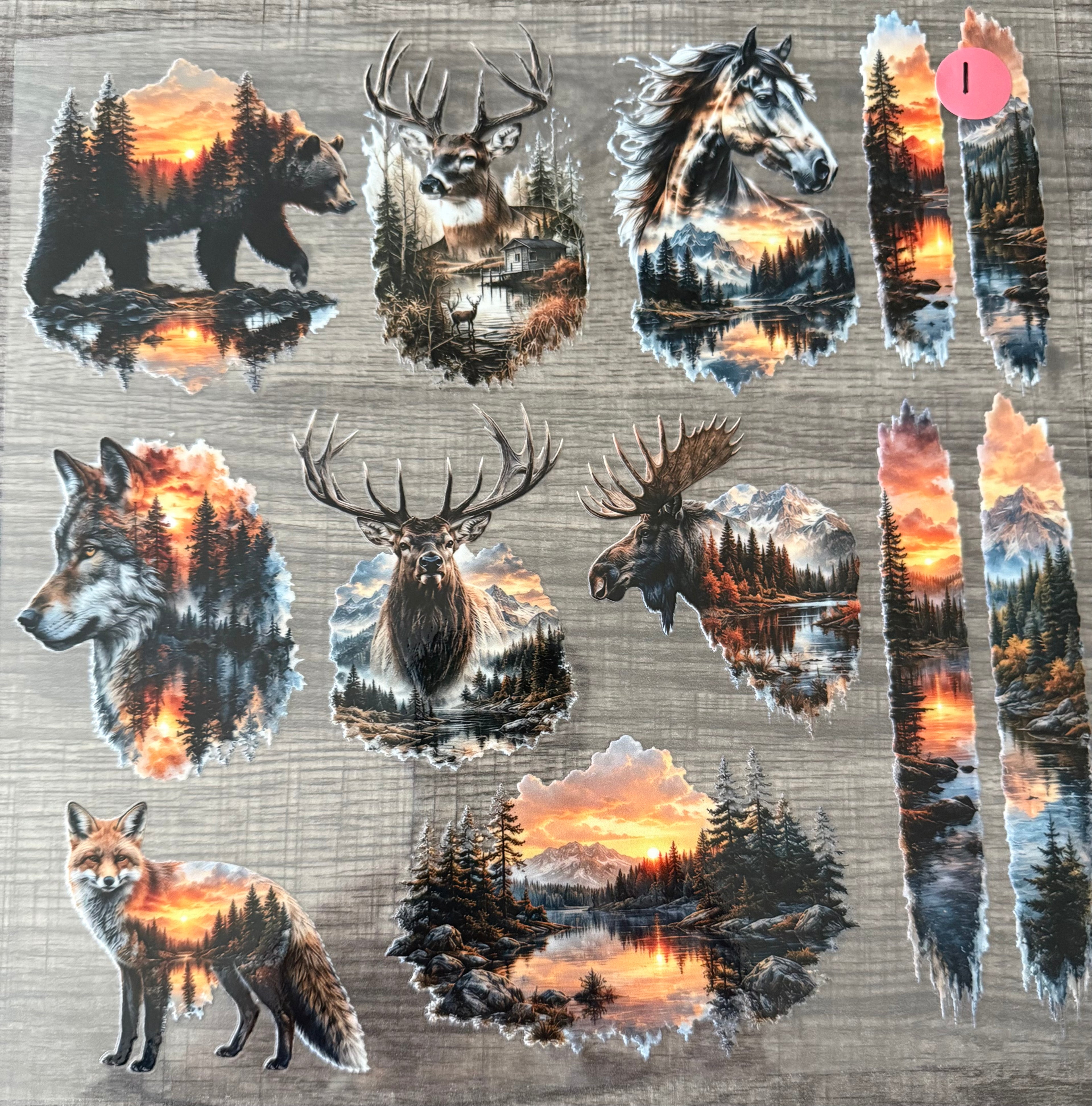 COUNTRY-ANIMALS--DEER/MOOSE/BEAR