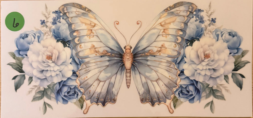 BUTTERFLIES 16OZ