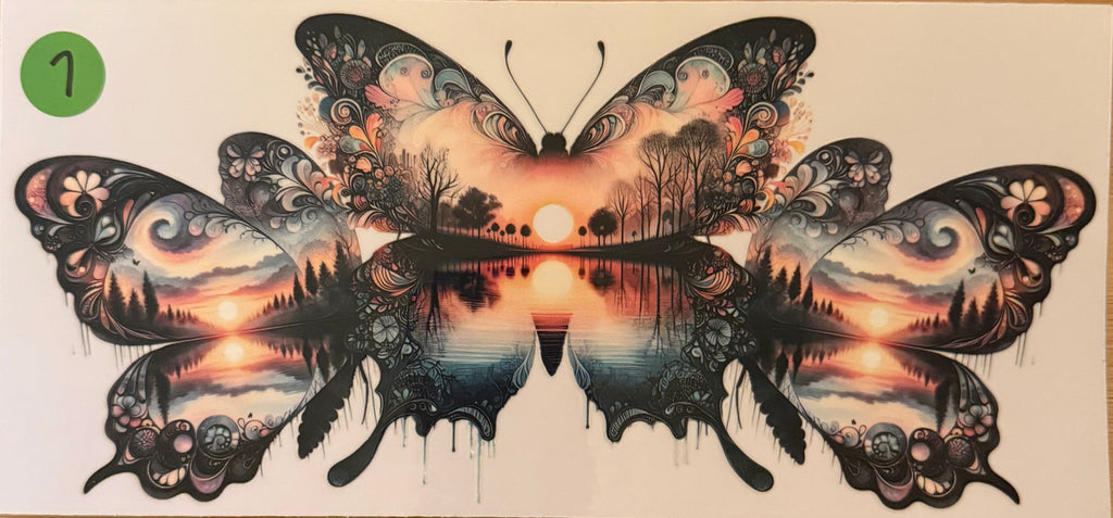 BUTTERFLIES 16OZ