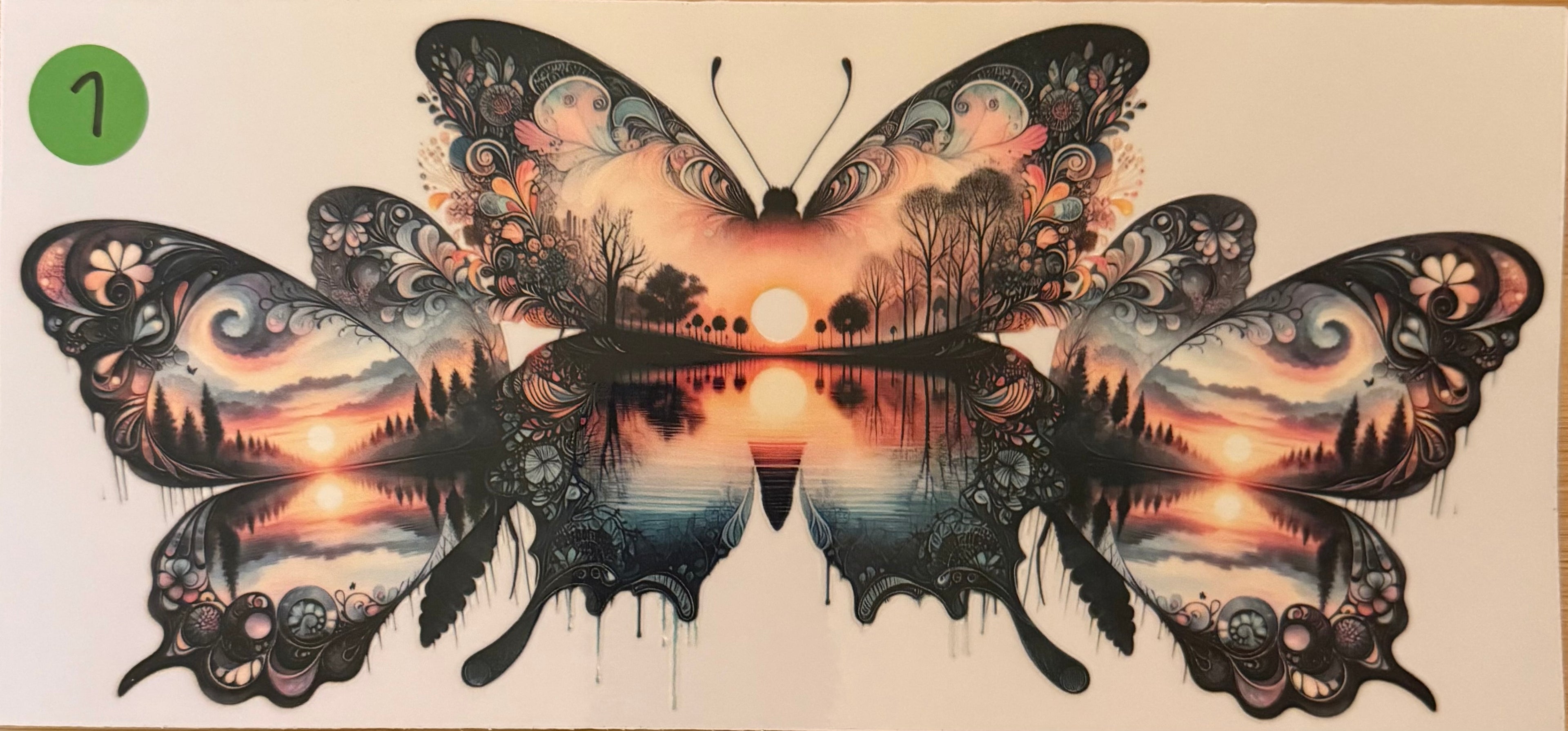 BUTTERFLIES 16OZ