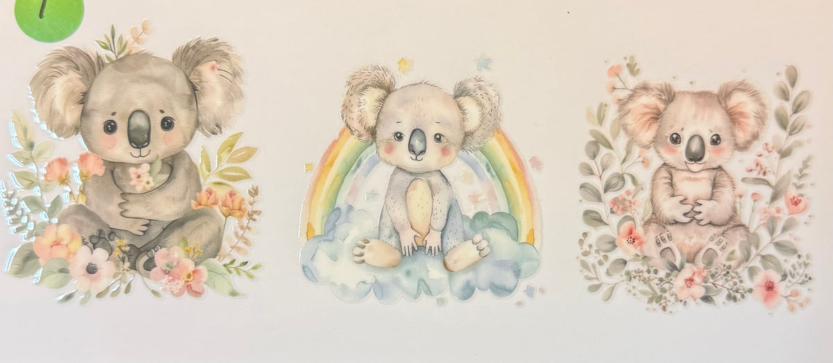 16OZ KOALA